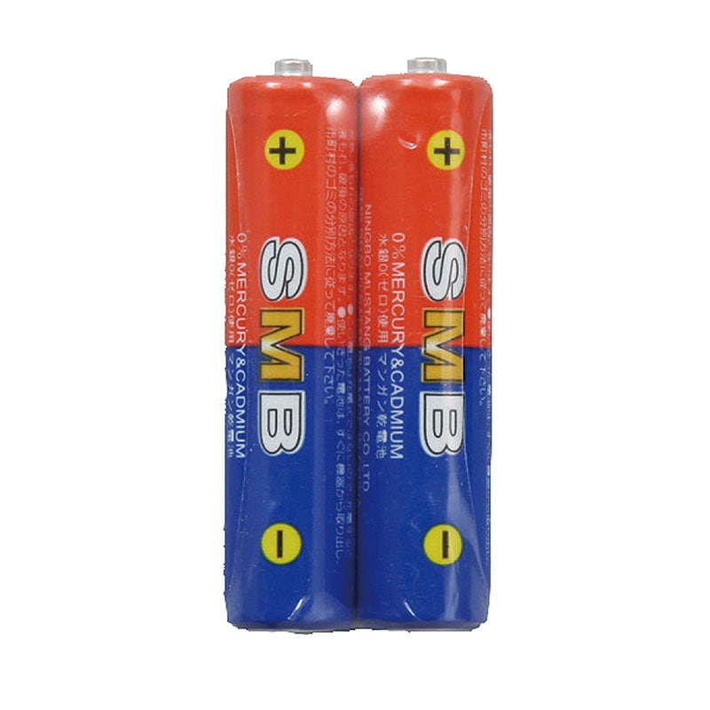 ㈱アーテック理科教材電池　単４（２本組） 1セット（ご注文単位1セット）【直送品】