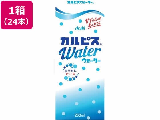 エルビー カルピスウォーター (LL) 紙パックスリム 250ml 24本 1箱※軽（ご注文単位1箱)【直送品】