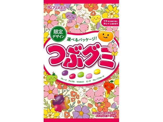 >春日井 つぶグミ 1袋※軽（ご注文単位1袋)【直送品】