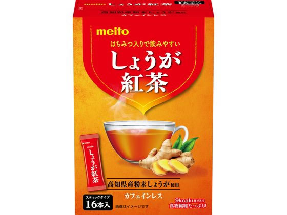 >名糖産業 しょうが紅茶 16本 1箱※軽（ご注文単位1箱）【直送品】