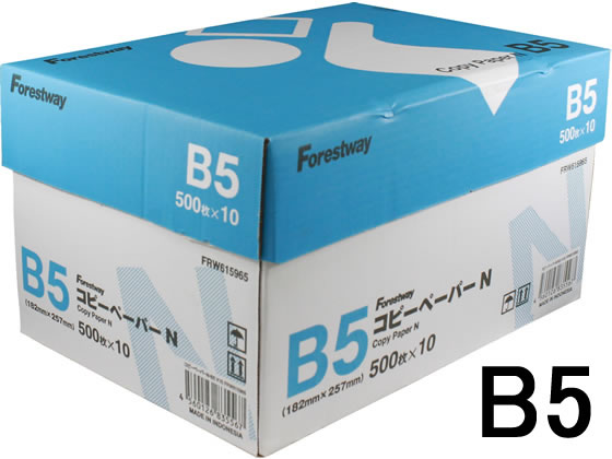 Forestway コピーペーパーN B5 500枚×10冊 1箱（ご注文単位1箱)【直送品】