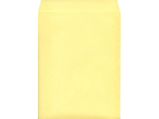 角3カラークラフト封筒クリーム 100枚 K3S-421 1パック（ご注文単位1パック)【直送品】