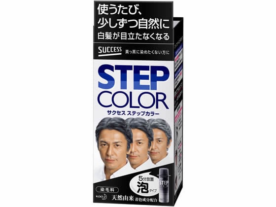 KAO サクセス ステップカラー 1個（ご注文単位1個)【直送品】