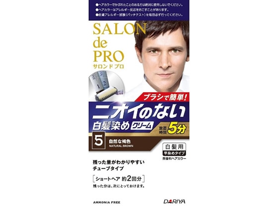 ダリヤ サロン ド プロ 無香料ヘアカラー メンズスピーディ 白髪用 5 1個（ご注文単位1個)【直送品】