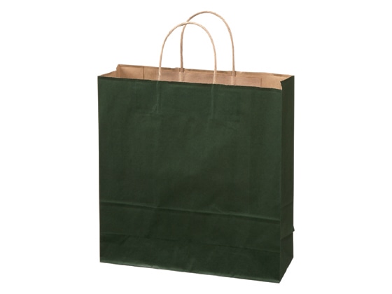 >【直送品】カラー紙手提げ袋 緑 M 50枚 1パック（ご注文単位1パック)