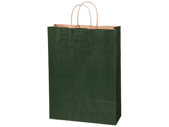 【直送品】スーパーバッグ カラー紙手提げ袋 緑 L 50枚 92660160 1パック（ご注文単位1パック)