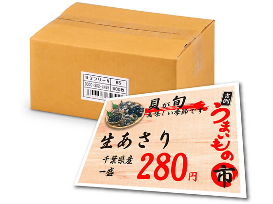 中川製作所 レーザープリンター専用耐水紙 ラミフリー B5 500枚 1箱（ご注文単位1箱）【直送品】