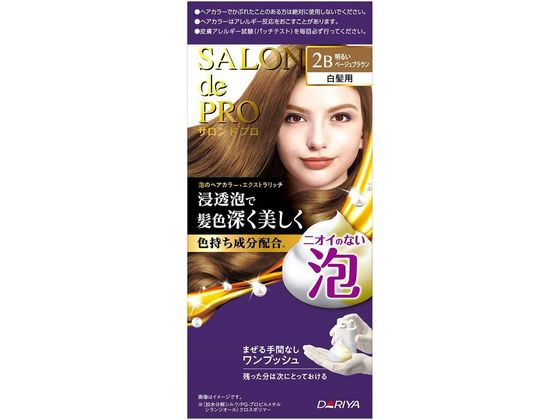 >ダリヤ サロンドプロ 泡のヘアカラーEX(白髪用)2B 1個（ご注文単位1個）【直送品】