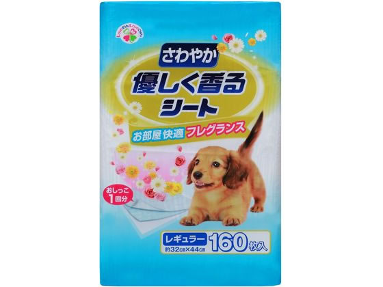 >サノテック さわやか優しく香るシート レギュラー 160枚 1個（ご注文単位1個）【直送品】