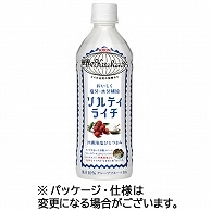 キリンビバレッジ 世界のKitchenから ソルティライチ 500ml ペットボトル 48本/箱 ※軽（ご注文単位1箱）【直送品】