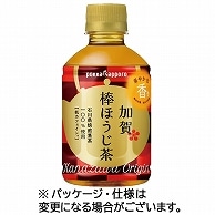 ポッカサッポロ 加賀 棒ほうじ茶 275ml ペットボトル 48本/箱 ※軽（ご注文単位1箱）【直送品】