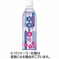 宮崎県農協果汁 サンA 満潮の塩梅 490ml ペットボトル 48本/箱 ※軽（ご注文単位1箱）【直送品】