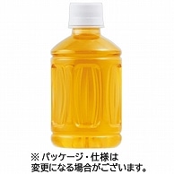 富永貿易 神戸居留地 緑茶 ラベルレス 280ml ペットボトル 48本/箱 ※軽（ご注文単位1箱）【直送品】