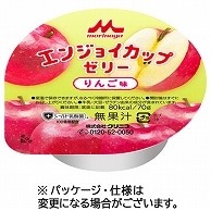 森永乳業クリニコ エンジョイ カップゼリー りんご味 70g 24個/袋 ※軽（ご注文単位1袋）【直送品】