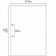 TANOSEE スマイル用LBP用紙 A4汎用白紙 分割なし 2穴 500枚 2個/箱（ご注文単位1箱）【直送品】