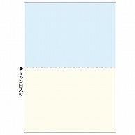 TANOSEE マルチプリンタ帳票(森林認証紙) 複写タイプ A4 ノーカーボン カラー 2面 100枚 5冊/箱（ご注文単位1箱）【直送品】