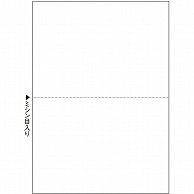 TANOSEE マルチプリンタ帳票(スーパーエコノミー) A4 白紙 2面 100枚/冊（ご注文単位1冊）【直送品】