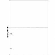 TANOSEE マルチプリンタ帳票(スーパーエコノミー) A4 白紙 2面 2穴 100枚/冊（ご注文単位1冊）【直送品】