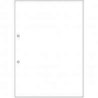 ヒサゴ マルチプリンタ帳票(森林認証紙) 複写タイプ A4 ノーカーボン 白紙 2穴 FSCF2001 100枚/冊（ご注文単位1冊）【直送品】