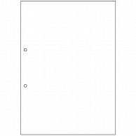 ヒサゴ マルチプリンタ帳票(エコノミープライス) A4 白紙 2穴 BPE2001 2500枚/箱（ご注文単位1箱）【直送品】