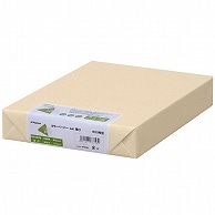 長門屋商店 Color Paper A4 厚口 アイボリー ナ-3365 500枚/冊（ご注文単位1冊）【直送品】