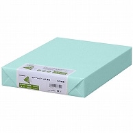 長門屋商店 Color Paper A4 厚口 空 ナ-3362 500枚/冊（ご注文単位1冊）【直送品】