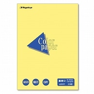 長門屋商店 Color Paper A3 最厚口 クリーム ナ-1503 25枚/冊（ご注文単位1冊）【直送品】