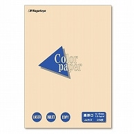 長門屋商店 Color Paper A4 最厚口 アイボリー ナ-3515 25枚/冊（ご注文単位1冊）【直送品】