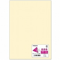 長門屋商店 Color Paper A5 中厚口 レモン ナ-5202 100枚/冊（ご注文単位1冊）【直送品】