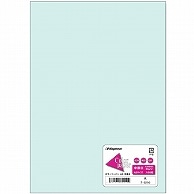 長門屋商店 Color Paper A5 中厚口 水 ナ-5210 100枚/冊（ご注文単位1冊）【直送品】