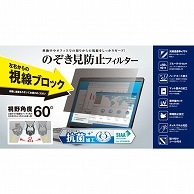 エレコム のぞき見防止フィルター 抗菌 11.6型ワイド(16：9)用 EF-PFK116W 1枚（ご注文単位1枚）【直送品】