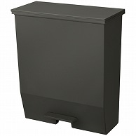 >リス HOME&HOME 通路で使えるペダルダストボックス 45L ダークグレー DS-980-145-5 1台（ご注文単位1台）【直送品】