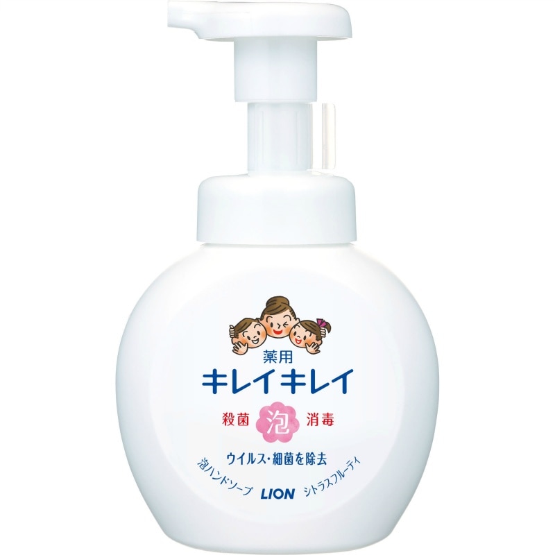 ライオン　キレイキレイ薬用泡ハンドソープポンプ250ML 1個（ご注文単位1個）【直送品】