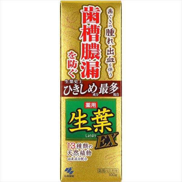 小林製薬　生葉EX　100G 1個（ご注文単位1個）【直送品】