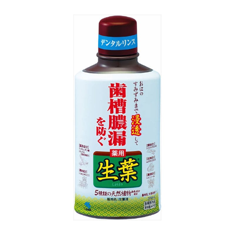 小林製薬　生葉液　330ML 1個（ご注文単位1個）【直送品】