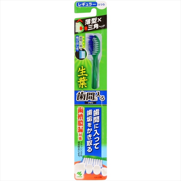 小林製薬　生葉歯間に入るブラシ　レギュラー　ふつう 1個（ご注文単位1個）【直送品】