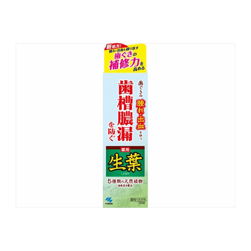 小林製薬　薬用ハミガキ　生葉　100G 1個（ご注文単位1個）【直送品】