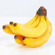 【直送品】 アスカ商会 ディスプレイ用フルーツ A－20255　バナナ　5本房 ＃010　イエロ－ 1個（ご注文単位1個）
