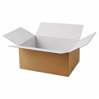 パックタケヤマ 宅配BOX 60サイズ XZV33004 50枚/袋（ご注文単位1袋）【直送品】