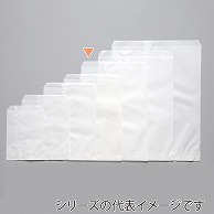 【直送品】 パックタケヤマ 平袋　フラット 白2　ヒモ付 XZT00330 500枚/袋（ご注文単位6袋）