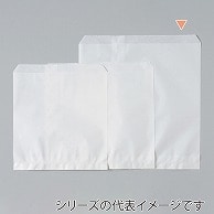 【直送品】 パックタケヤマ 平袋　フラット 白平1　ヒモ付 XZT00334 500枚/袋（ご注文単位6袋）