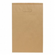 【直送品】 パックタケヤマ 手提げ紙袋　エフグリップ 茶無地 XZT52034 50枚/袋（ご注文単位4袋）