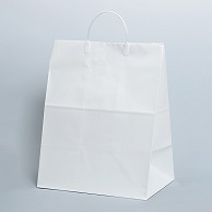 【直送品】 パックタケヤマ 手提げ紙袋 ブライダル　大 XZT40002 10枚/袋（ご注文単位10袋）