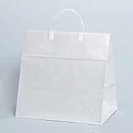 【直送品】 パックタケヤマ 手提げ紙袋 ブライダル　特小 XZT40001 10枚/袋（ご注文単位10袋）
