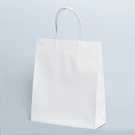 【直送品】 パックタケヤマ 手提げ紙袋　STB プリティ　白 XZT00805 10枚/袋（ご注文単位10袋）