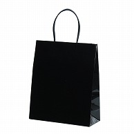 【直送品】 パックタケヤマ 手提げ紙袋　STB プリティ　黒 XZT00806 10枚/袋（ご注文単位10袋）
