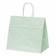 【直送品】 パックタケヤマ 手提げ紙袋　ファンシーバッグ M　グリーン XZV01014 50枚/袋（ご注文単位4袋）