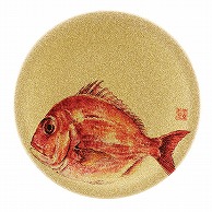 >福井クラフト 耐熱φ150寿司皿　ゴールドパール　日本海 真鯛 13000001 1個（ご注文単位1個）【直送品】