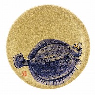 【直送品】 福井クラフト 耐熱φ150寿司皿　ゴールドパール　日本海 カレイ 13000007 1個（ご注文単位1個）