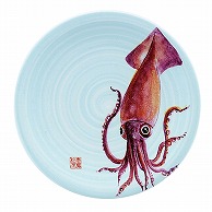 【直送品】 福井クラフト 耐熱φ150寿司皿　青磁　日本海 イカ 13000045 1個（ご注文単位1個）